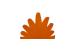 COLORE ARANCIO