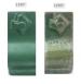 SMALTO VERDE SCREZIATO 21059