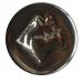SMALTO METALLICO DORATO 20911